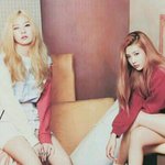 [레드벨벳] <b>조이</b>