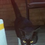 [동행세상] 추운날 버려진 까<b>미투</b>.