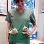 수의사 <b>or</b> 동물병원에 취직하면 좋은 것!