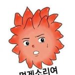 [어이없] 아니 내 택배가