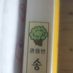 [방탄소년단] ㅅㄷ뜬금없지만 나유치원때
