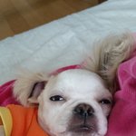 곧 고1 되는 얘들아