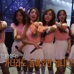 [에이핑크] 핑<b>수니들</b>이 잘나가긴하나보다ㅠㅠ