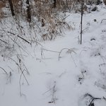 [장르불분명] 두근두근 삼행시