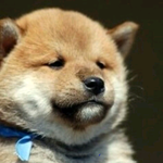 아름다운 밤입니다~