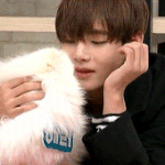 [방탄소년단] 드루와 드루와가져가 가져가 움짤(1)