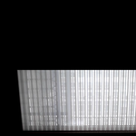 [ㅁㅊ] 청설모(??)가 창문을 기어다님...