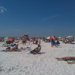 [드루와] 흔한 유학생 미국 생활기 9