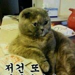 [EXO] 큰일쳤다 스엠드디어 ㄷㄷㄷㄷㄷ