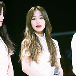 [EXO] 집에 아들딸 놓고 노래방나온 <b>아주매</b>같음