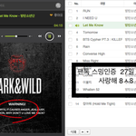 [방탄소년단] 유입이랑 기존들 그만좀 싸워+스밍인증