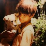 [방탄소년단] 이삐들 <b>태태</b> 이 사진