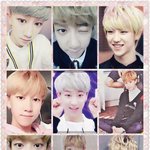 [세븐틴] 그거 알아? 안드로메다