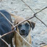 [동행세상] <b>보리</b>에게도 손을 내밀어주세요,