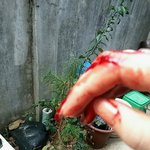 [도와주세요] 이혼 그리고 가정폭력(인증샷有)