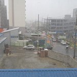 [육묘를육묘] 육묘 엉덩이 구경하세요 :<b>D</b>