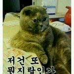 [댓글부탁해] 애들아 ㅋㅋㅋㅋㅋ 우리 없는음식 지어내자