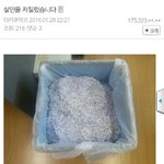 [댓글부탁해] <b>허언</b>증갤 존나웃곀ㅋㅋㅋㅋㅋㅋ