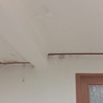 곰팡이 전체인 집 나몰라라라 하는 전셋집 주인.. 도와주세요.