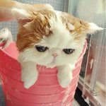 <b>얼</b><b>평</b>좀..!