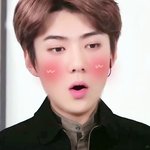 [세훈] 너무 귀여운 <b>야미</b>야미 세훈 대두짤