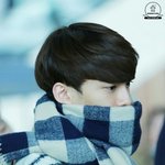 [CHEN] 종대 <b>목도리</b> 사진