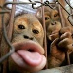 [무턱드루와] 무턱인 사람이 들으면 빡치는 말