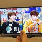 아는 동생이 대리팬싸<b>응모</b>