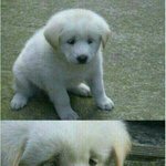 얘들아 <b>인디고</b>뱅크?란브랜드 아는사람