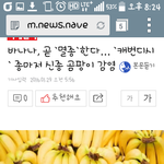 애<b>드러</b> 바나나멸종한데ㅜㅜㅜㅜㅜ