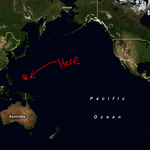 [드루와] 내 인생 절반 이상의 미국?! 이민자로서의 삶 이야기...