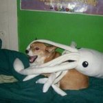 너에게 잡힌 <b>내</b> <b>모습</b>