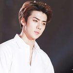 [EXO] 엑소연애시뮬레이션#1선택지 결과