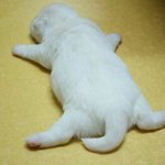 [드루와] 얘들아 너네 목욕탕이나 수영장 갈때 조심해