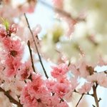 [드루와] 집 잘 사는 애들이 제일 부럽다