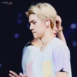 [EXO] 세훈아 루둘이 한국에 왔다는데 <b>패러</b>갈까?