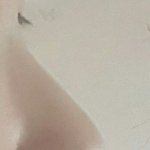 <b>코가</b> 어디가 높아야 높다그러는거야?