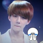 [EXO] 백현 제외 키작은애들 실물 걍 <b>축소</b>인간임