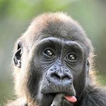 [EXO] 내가애용하는짤들모음.<b>jyp</b>