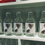 [EXO] 야 아티움에 이겈ㅋㅋㅋㅋㅋ