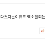 [EXO] 장사장 <b>부상</b> 기사에 댓글ㅋㅋㅋㅋㅋ