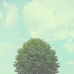 [EXO] 요즘 존나 행복해