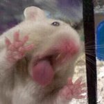 [EXO] <b>sm</b> 너 돈 더 벌고싶지?