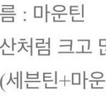 [세븐틴] 근데플디은근 답정너임