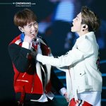 애교잔망 터진 샤이니콘