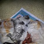 ^^ 내가 너를 처음 만나던 날 ^^