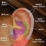 귀걸이 뚫을곳 추천좀!