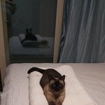 6년키운우리 개념이<b>상실</b>이에요❤