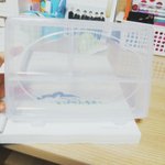 [댓글부탁해] 이거 <b>필통</b>으로 쓰는사람있어?