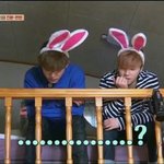 [아이콘] 마리와나 꿀잼